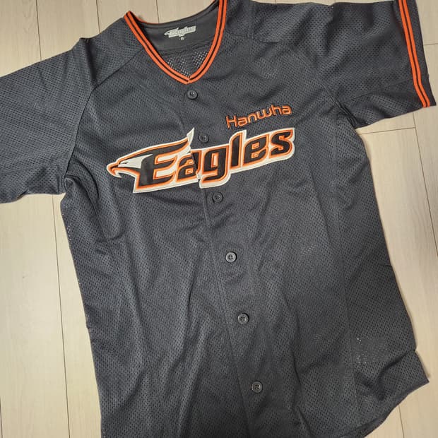 한화 이글스 레플리카 유니폼(원정)사이즈85

여러 중고사이트에도 같이 