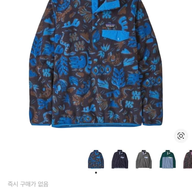 파타고니아 신칠라