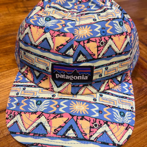 Patagonia hop cap 