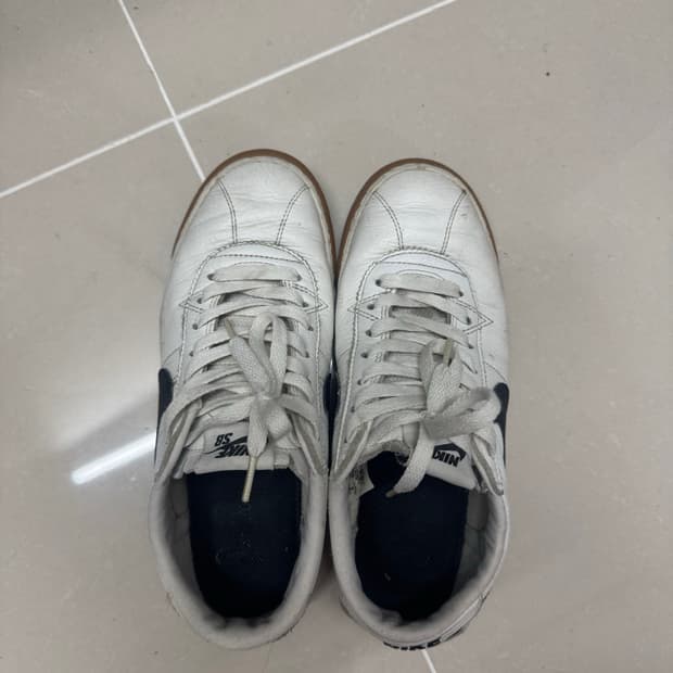 나이키 SB 브루인 프리미엄