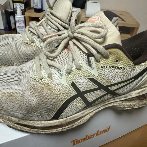 아식스 님버스20 사쿠라