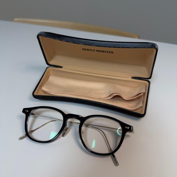 젠틀몬스터 해리 01 블랙