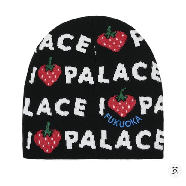 팔라스 하라주쿠 비니