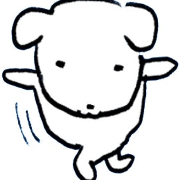 오늘만 2개 이상 구매 시 20% 할인