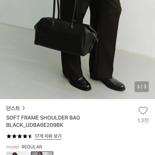 던스트 숄더백