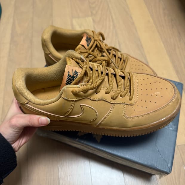 나이키 된장포스 235