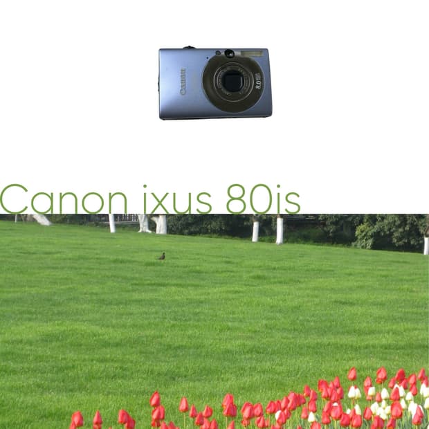 Canon ixus 80is