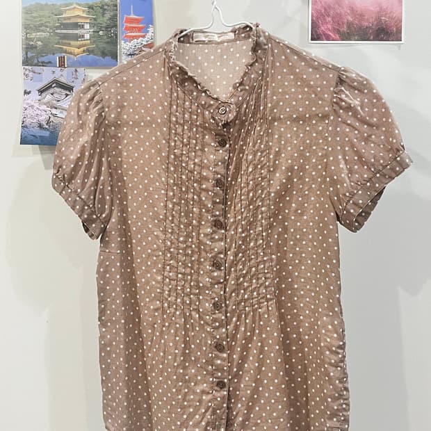브라운 도트 버튼 블라우스