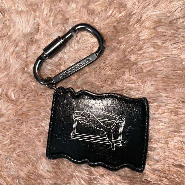 퓨마 아리즈 카라비너