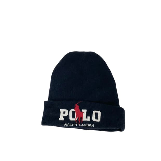 폴로 빅포니 비니