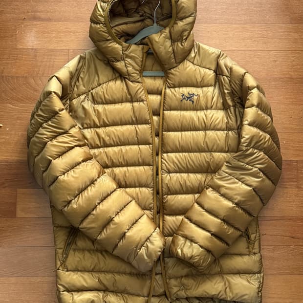 아크테릭스 세륨 후디 L