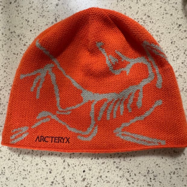 아크테릭스 버드 헤드 토크 페놈비니