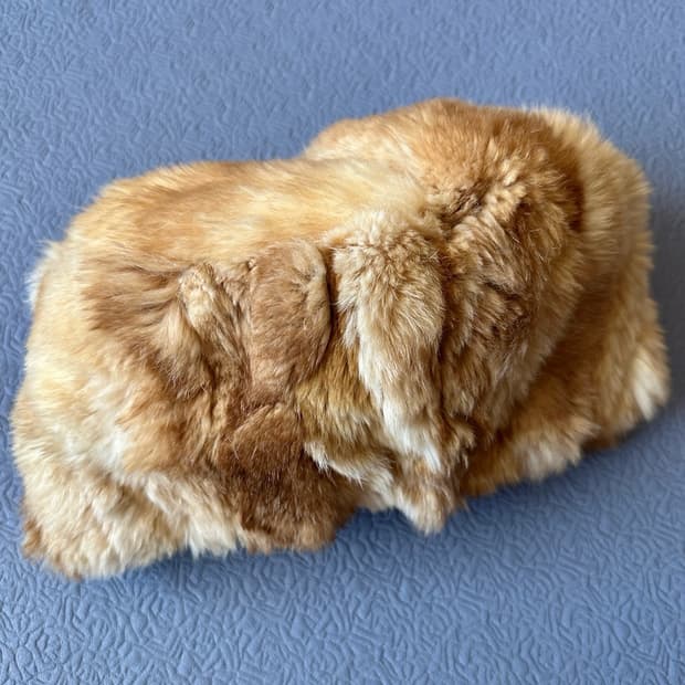 애드리안 란다우 리얼퍼모자