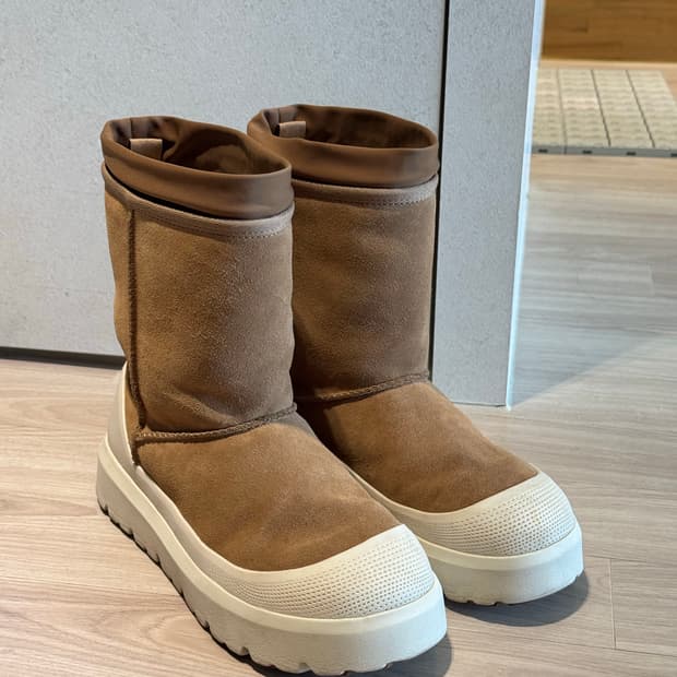 어그 클래식 쇼츠 웨더 42