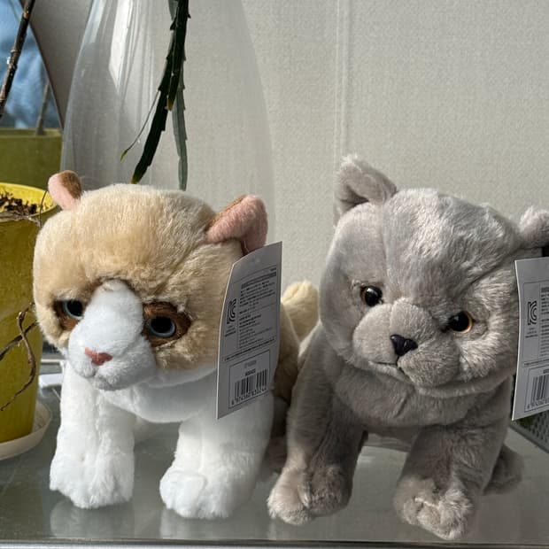 고양이 인형