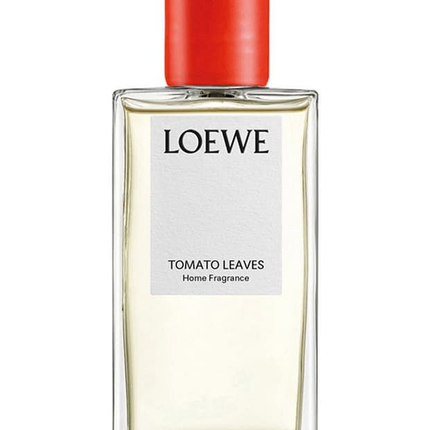 로에베 토마토 리브스 홈 프래그런스 150ml