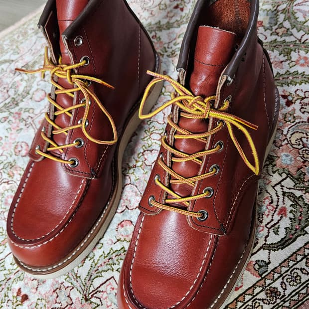 레드윙 8875 8.5E 풀박스 슈트리 케어용품