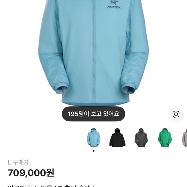 아크테릭스 아톰 lt후디 솔레스