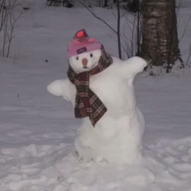 배송관련 공지 1월~2월