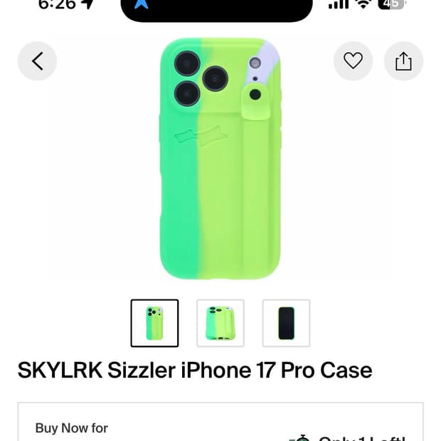 새제품) skylrk 아이폰 17프로 케이스 키위