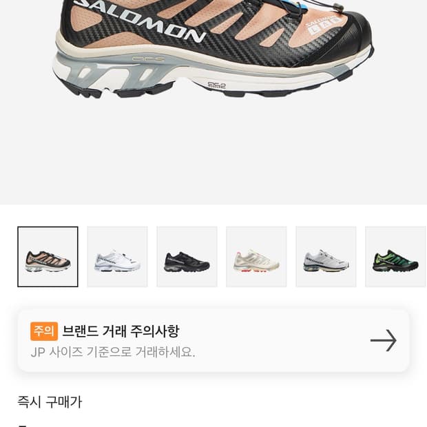 살로몬 XT-4 토바코 브라운 [270]