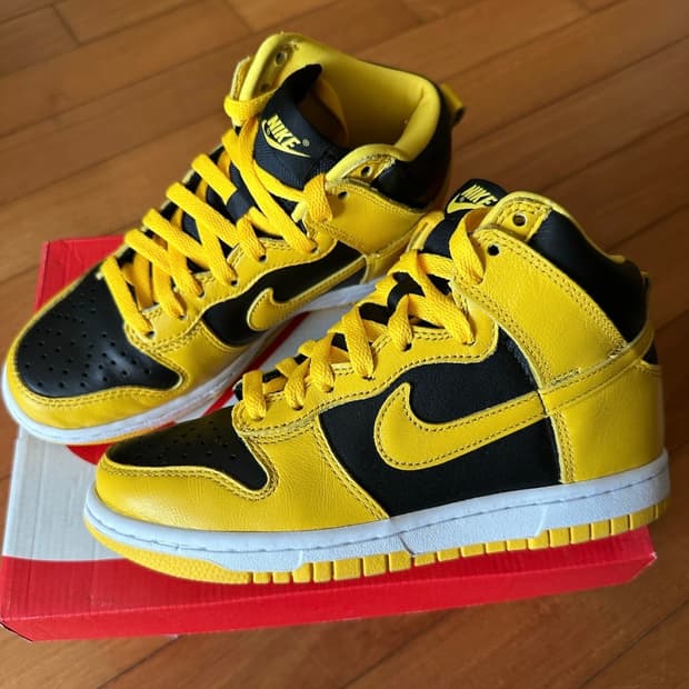 덩크하이 바시티메이즈 230