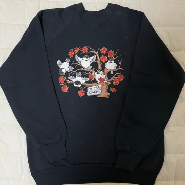 90s 프룻오브더룸 made in usa 플라이트스쿨 버드 스웻셔츠