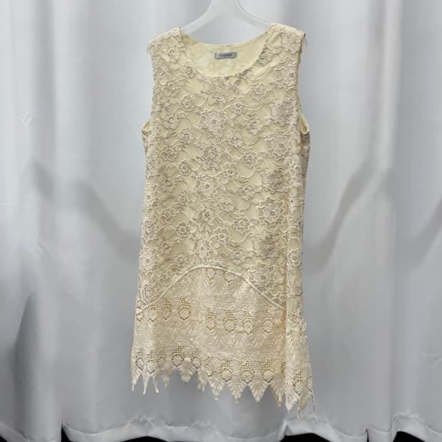 vtg dress