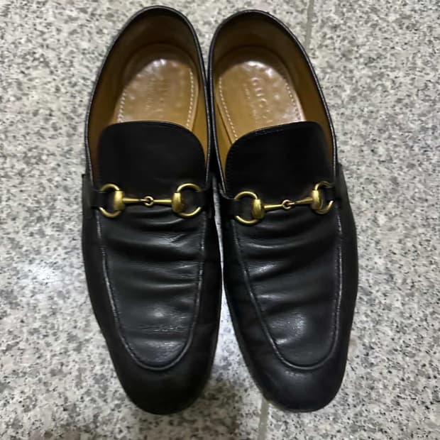 구찌 홀스빗 270