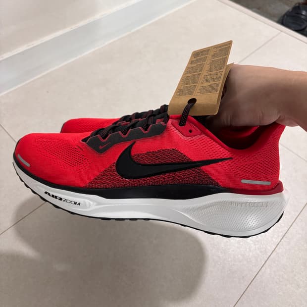 나이키 페가수스41 University Red Light Crimson