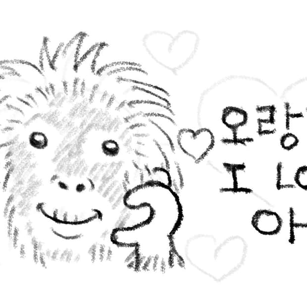 오랑이