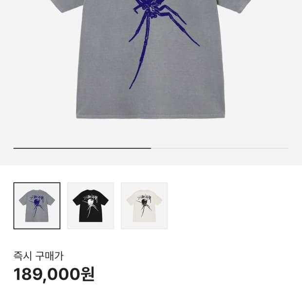 스투시 아라크니드 반팔