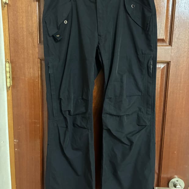 00s theory cargo pants
