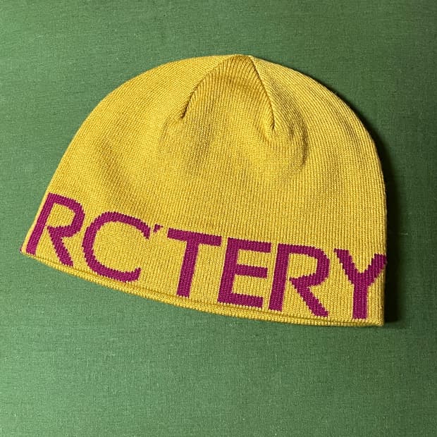 아크테릭스 비니