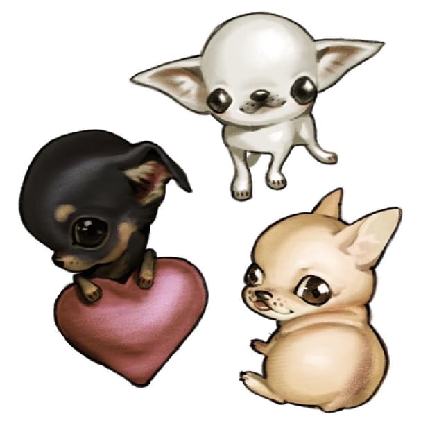 버버리 블루라벨 퍼프 반팔 셔츠 블라우스