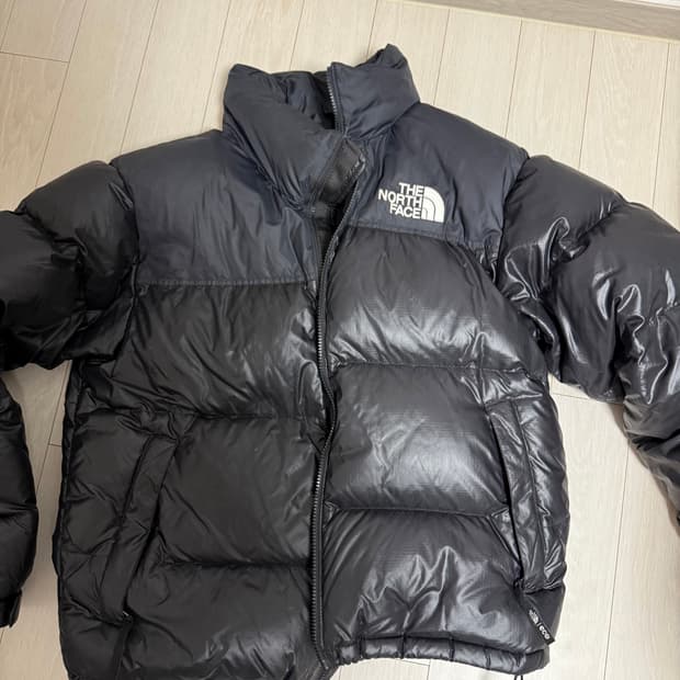 노스페이스 1996 에코 눕시 L