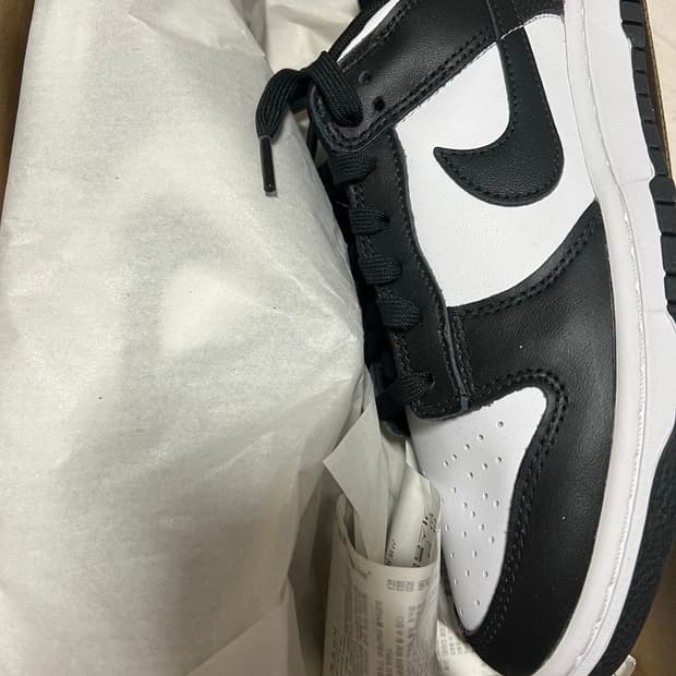 나이키 덩크 범고래 255