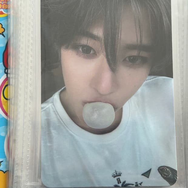 팝팝 위츄 핑츄 시온 포카