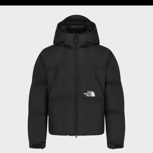 노스페이스 프로젝트 다운