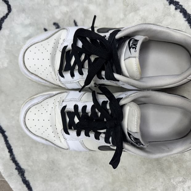 나이키 덩크 로우 레트로 서밋화이트