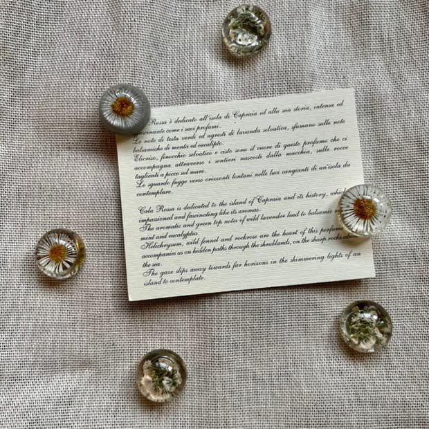 Flower Magnet (6p set) 