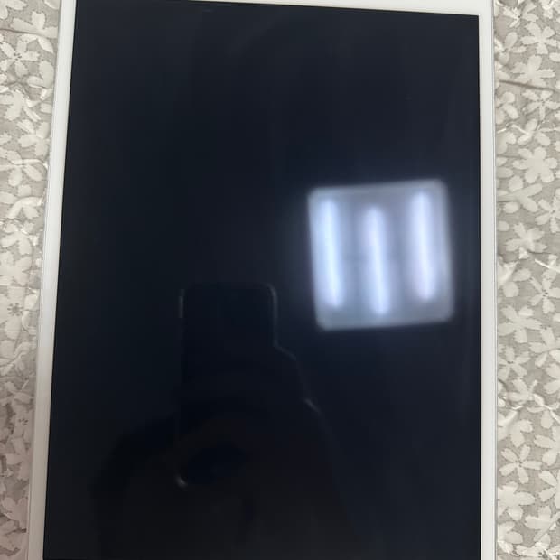 아이패드 프로 10.5