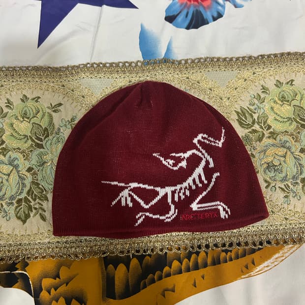 아크테릭스 비니