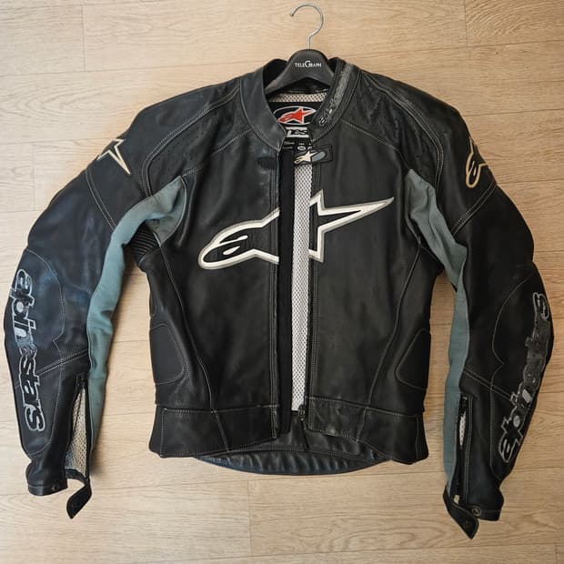 알파인스타 자켓