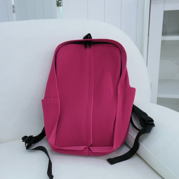 이세이미야케 플리츠플리즈 백팩