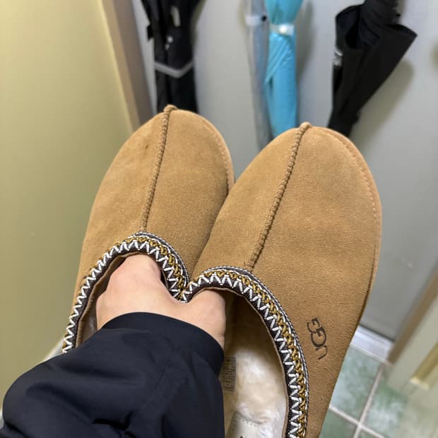 [290] 어그 타스만2