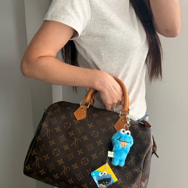 루이비통 스피디 30
