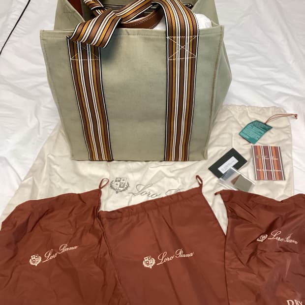 로로피아나 스트라이프 수트케이스 큐브백