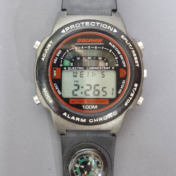 돌핀 빈티지 스포츠 시계 