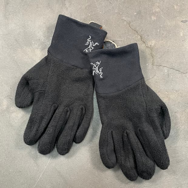 아크테릭스 델타AR 글러브